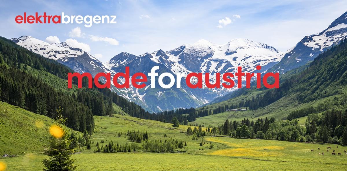Österreichische Alpenlandschaft mit Almwiese im Vordergrund und schneebedeckte Gebirgskette im Hintergrund. Logo von elektrabregenz und Claim „madeforaustria“.
